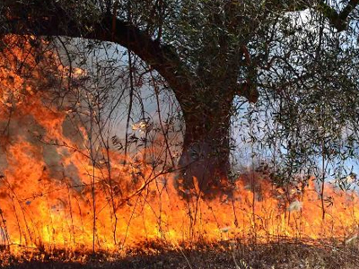 Η άμεση ειδοποίηση απέτρεψε τα χειρότερα