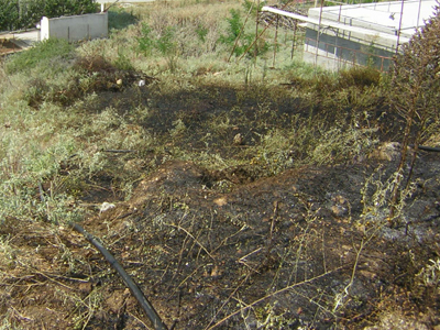 Η Πυροσβεστική απέτρεψε τα χειρότερα