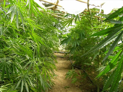 Είχε αδυναμία στον… κήπο του!