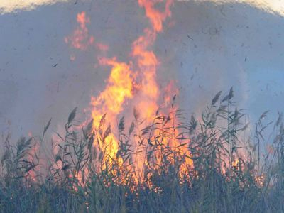 Πυρκαγιά στη Φαιστό