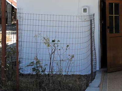 Έσκαβε για αρχαία δίπλα στον Ιερό Ναό