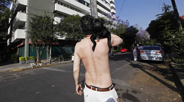 Πόλη του Μεξικού: Κάτοικος με τον σκύλο του έξω από ουρανοξύστη