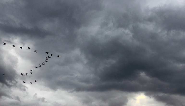 Ο καιρός σήμερα