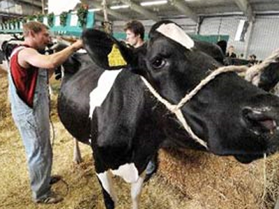 Αντιδρούν στην υποβάθμιση του Ινστιτούτου Κτηνοτροφίας Γιαννιτσών