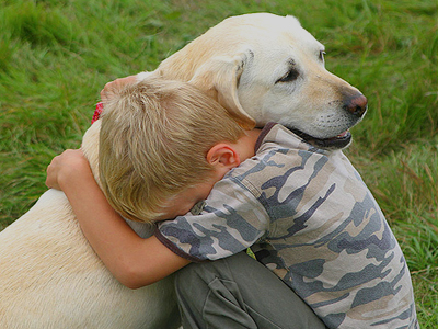Ανησυχία για τα αδέσποτα σε χωριό της Πέλλας