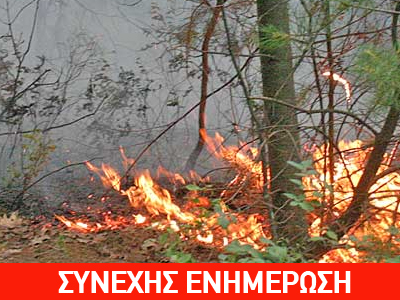 Πυρκαγιά στη Νυφίδα Λέσβου