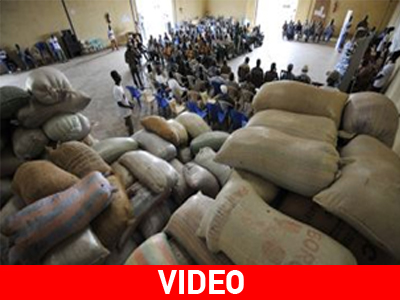 Δεσμεύσεις για καταπολέμηση της παιδικής εργασίας στην Ακτή Ελεφαντοστού