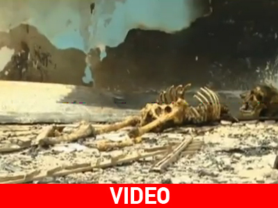 Εντείνονται οι ανησυχίες για εκκαθαρίσεις στην Ακτή Ελεφαντοστού Εντείνονται οι ανησυχίες για εκκαθαρίσεις στην Ακτή Ελεφαντοστού