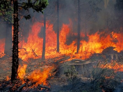 Πυρκαγιά στο Γεράκι του Ηρακλείου Κρήτης