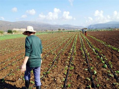 Κρήτη: Πιέσεις αγροτών προς τα μέλη της Π.Ν.Ο. για τα ευπαθή προϊόντα