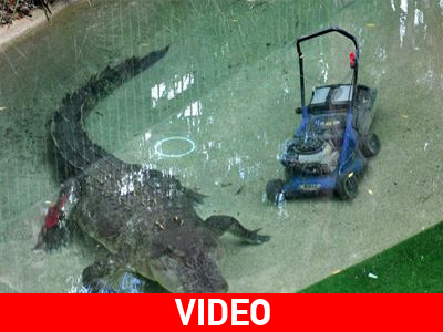 Ερωτεύτηκε τη… μηχανή του γκαζόν!