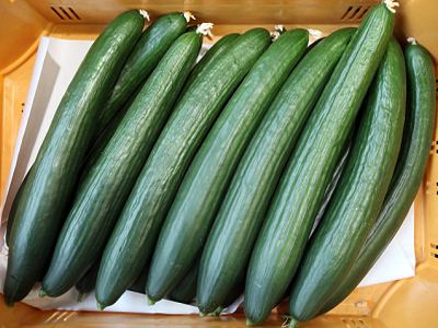 Εξαιρετικά κρίσιμη η κατάσταση με τα μολυσμένα αγγούρια στη Γερμανία