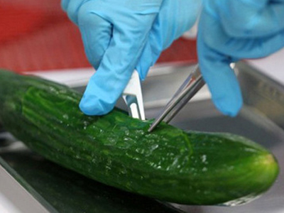 Ρωσικό «stop» στις εισαγωγές λαχανικών από Ε.Ε.