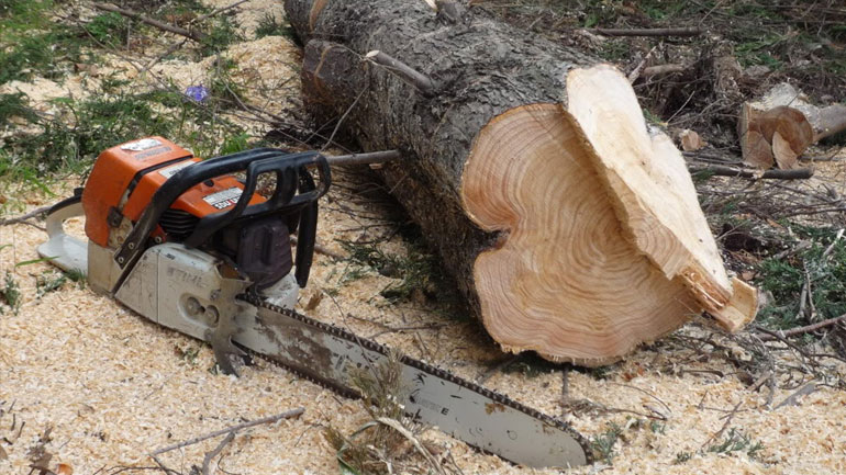 Τραγικός θάνατος 75χρονου στην Καρδίτσα