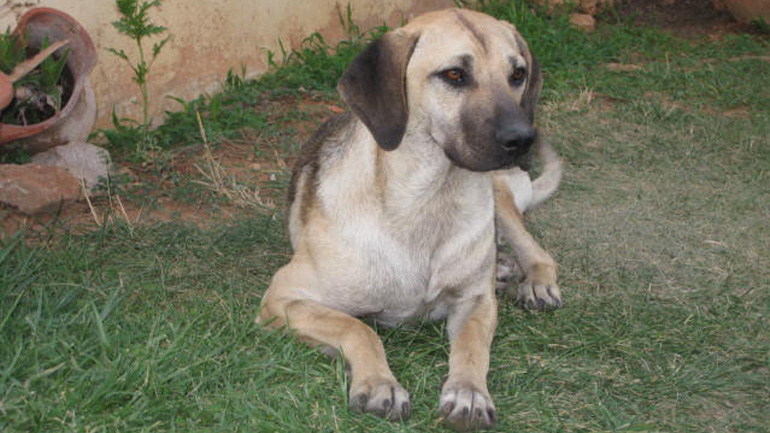 Μήπως τον χάσατε;