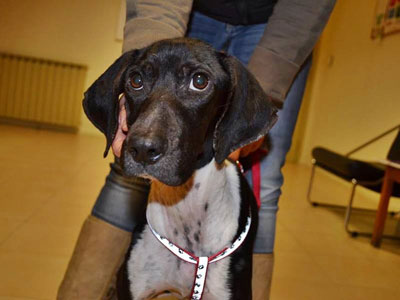 Η πανέμορφη Μαντάμ Τισό ζητά φιλοξενία για λίγες ημέρες