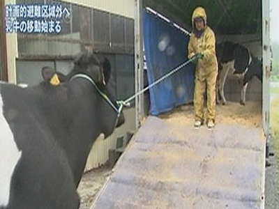 Προσπαθούν να σώσουν ό,τι μπορούν στη Φουκουσίμα