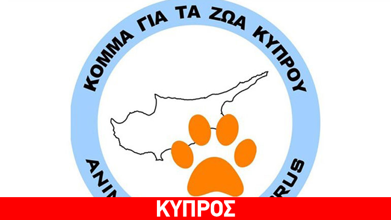 Κόμμα για τα ζώα στην Κύπρο