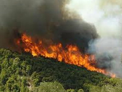 «Ανάσα» για το δασαρχείο Σερρών