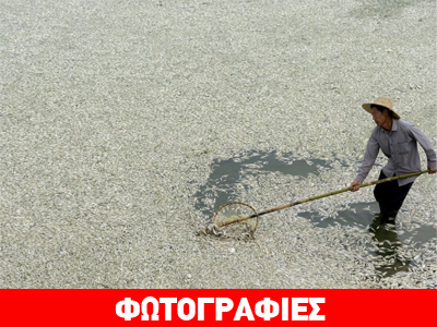 Χιλιάδες νεκρά ψάρια σε ποταμό της Κίνας