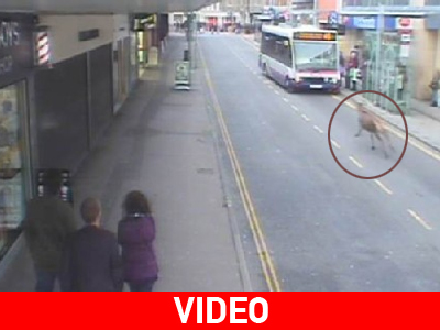 Τους πήρε στο κυνήγι…