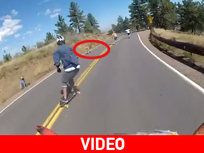 Ένα ελάφι στον δρόμο του…