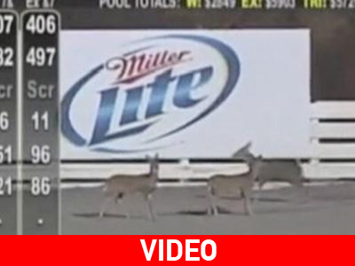 Η.Π.Α.: And here comes the… Rudolph!