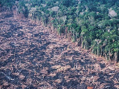«Δυσοίωνο» το μέλλον του Αμαζονίου «Δυσοίωνο» το μέλλον του Αμαζονίου