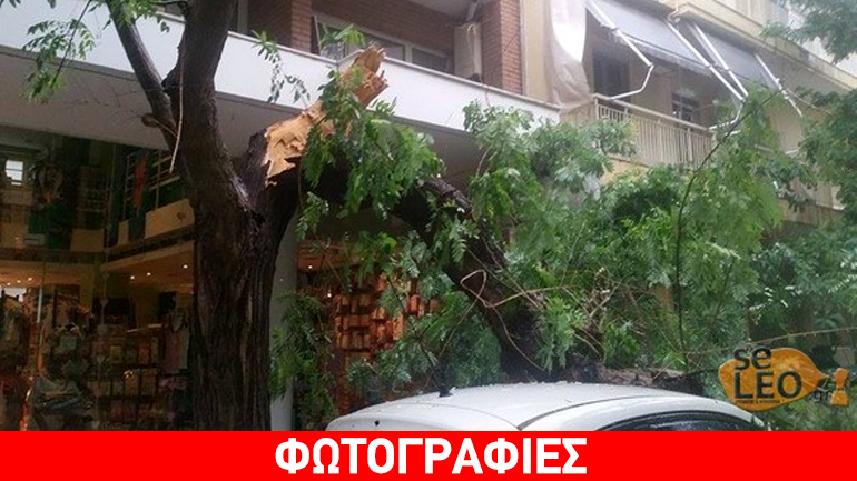 Θεσσαλονίκη: Δέντρο καταπλάκωσε αυτοκίνητο