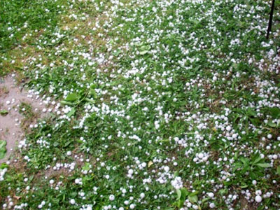 Αιττωλοακαρνανία: Oικονομική καταστροφή για τους αγρότες από την κακοκαιρία