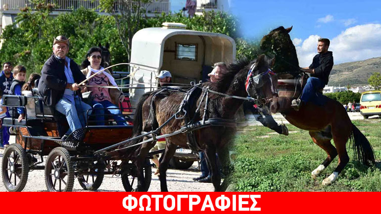 Άργος: Τα άλογα ξεχύθηκαν στους δρόμους…