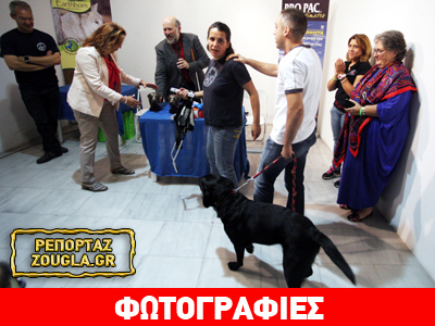 Δράση του Κέντρου «Σκύλοι Οδηγοί Ελλάδας» στην Τεχνόπολη