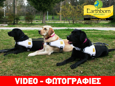 Εκδηλώσεις για τη Διεθνή Ημέρα του Λευκού Μπαστουνιού Εκδηλώσεις για τη Διεθνή Ημέρα του Λευκού Μπαστουνιού