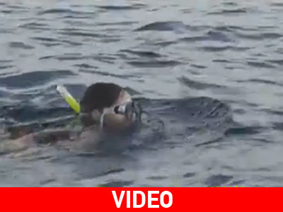 Κολύμπησε από την Ηγουμενίτσα στην Κέρκυρα για τα αδέσποτα!