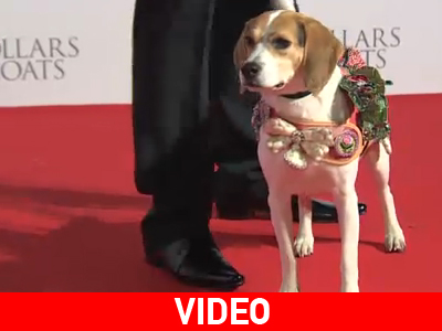 Πασαρέλα για φιλανθρωπικό σκοπό!