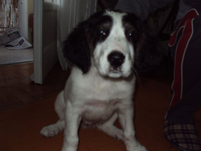 Ζητά αγκαλιά