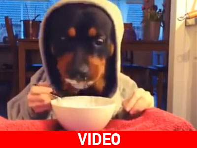 Καλή όρεξη!