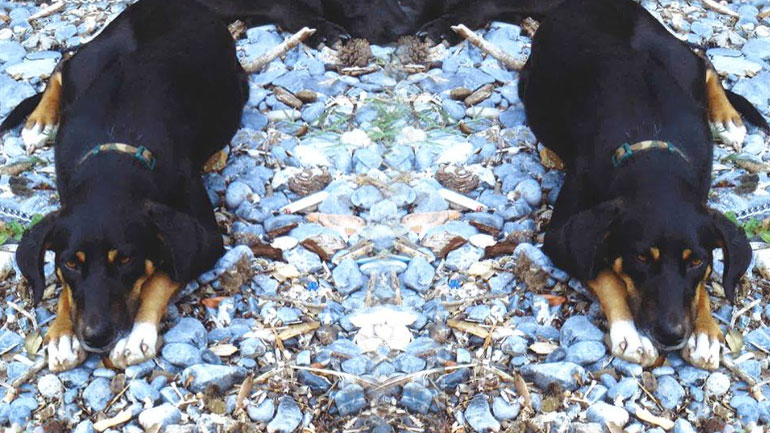 Βοηθήστε να βρεθεί η Ελπίδα – Χάθηκε στα Άνω Μελίσσια