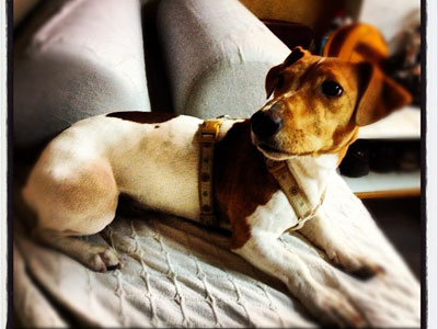 Χάθηκε κοντά στο Μετρό «Αγ. Παρασκευής»