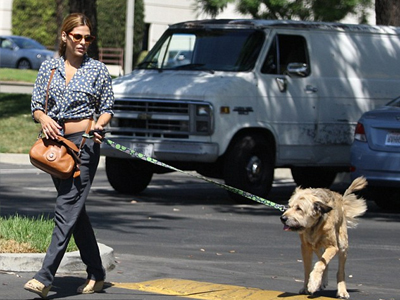 Ο σκύλος της Eva Mendes