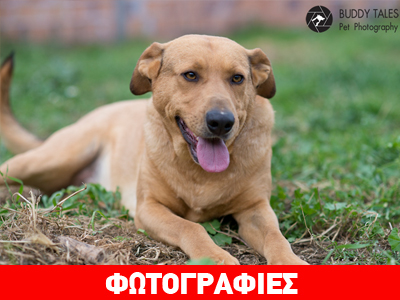 Ο Οδυσσέας αναζητά τη δική του οικογένεια!