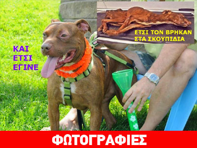 Ετσι… αναστήθηκε ο Πάτρικ!