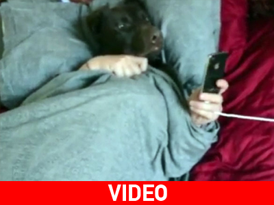 Σκυλίσια ημέρα…