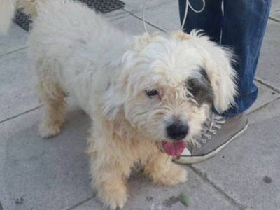 Ο «Πειρατής» βρήκε εκ νέου το σπίτι του