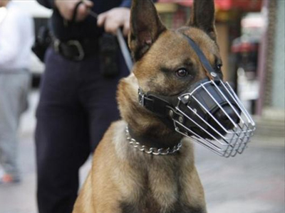 Λογάριαζε χωρίς τον έλεγχο του Λιμενικού