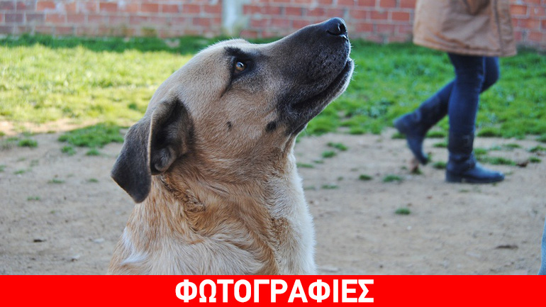 Μια ζεστή αγκαλιά για τον Ψυχούλη!