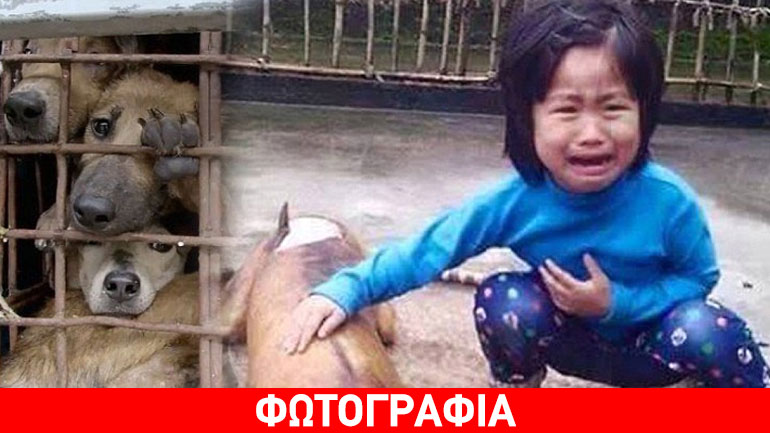 Κοριτσάκι έχασε τον σκύλο του και τον βρήκε… ψητό!