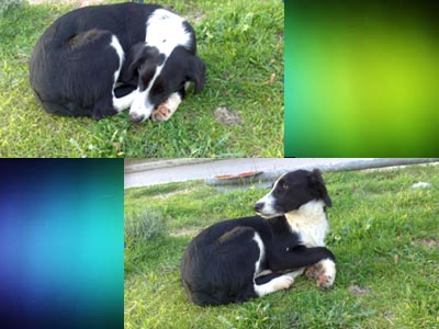 Ζητείται επειγόντως μια ζεστή αγκαλιά