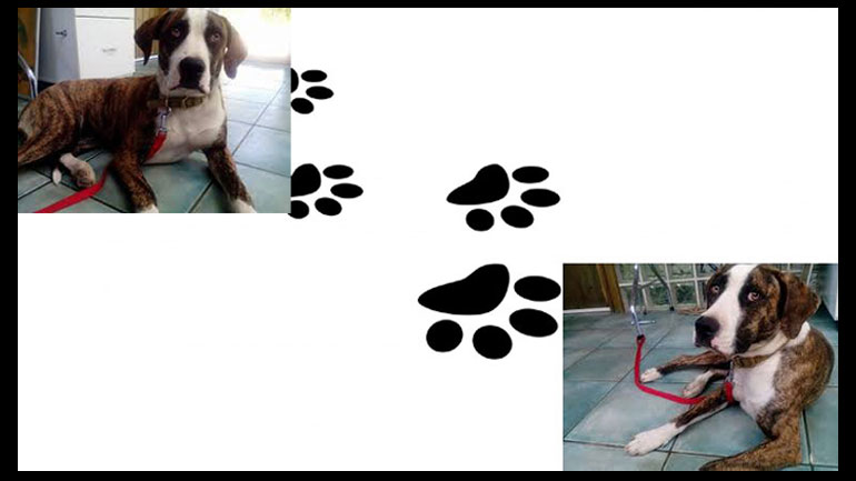 Η Μπέμπα από το Μαρμάρι!