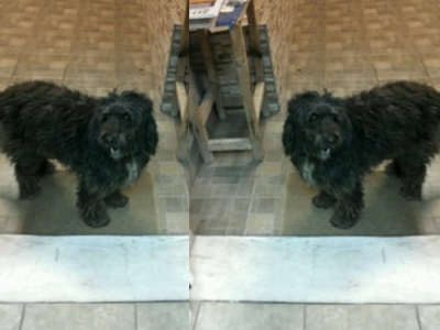 Βοηθήστε να γυρίσει σπίτι της